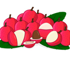 Fresh Sweet Lychee