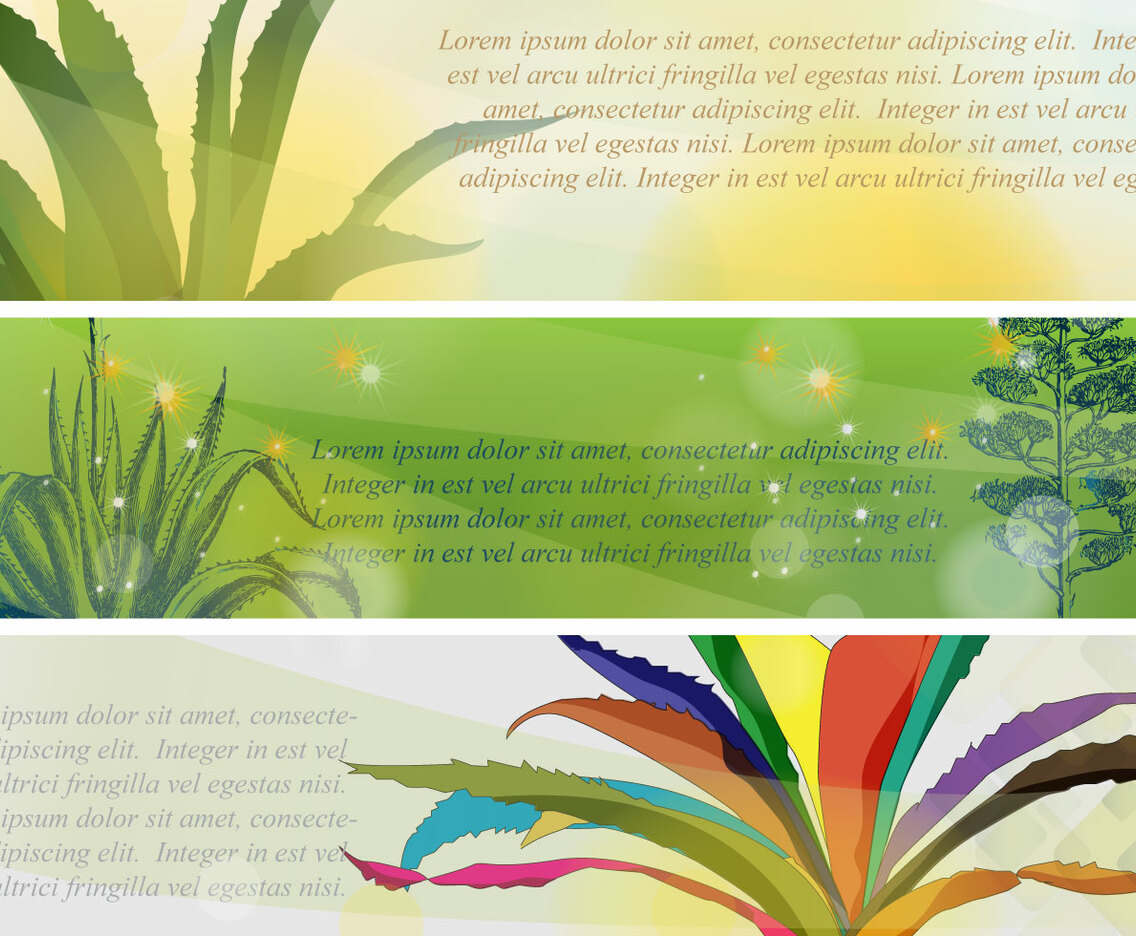 Banners Maguey