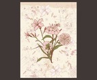 Retro Floral Card