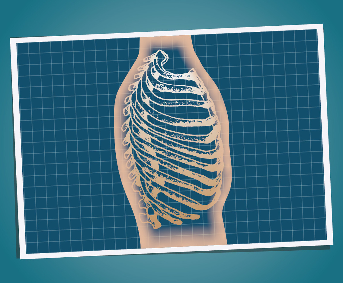 ribcage 2