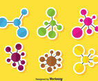 Atom Set Vector