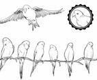 Budgie Set