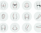 Free Woman Beauty Plastic Surgery
