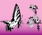 Butterfly And Flower Graphics