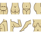 Set Of Plastic Surgery Vector