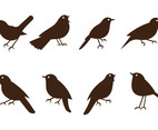 Free Nightingale Vectors