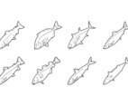 Free Hand Drawing Consumable Fish Vector