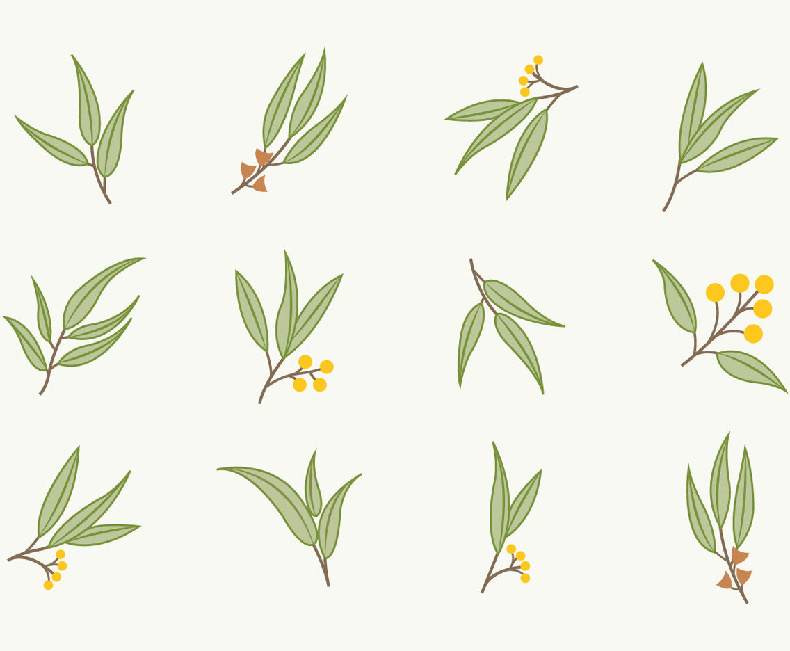 Free Flat Eucalyptus Icons