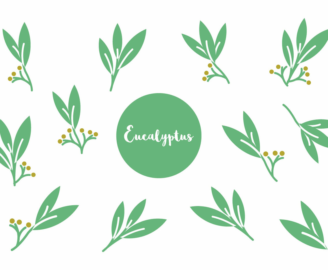 Free Eucalyptus Icon Vector