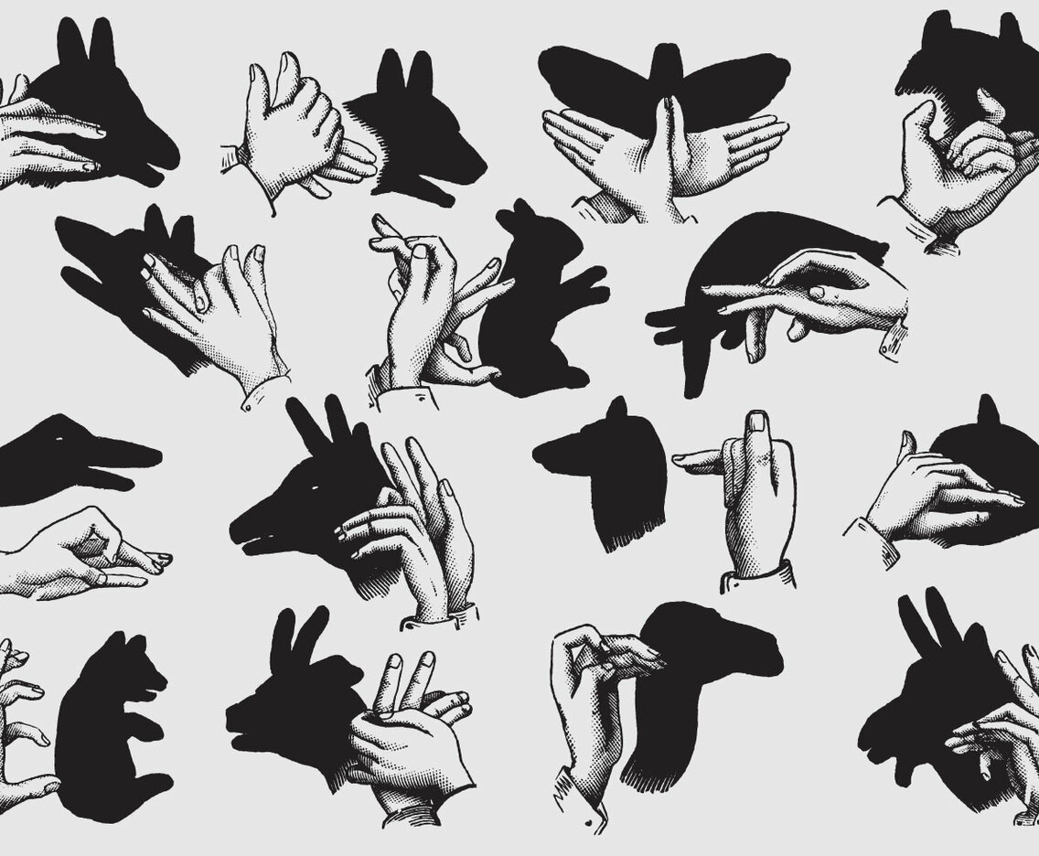 Animal Shadows