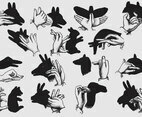 Animal Shadows