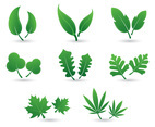Set Of Hojas Vector