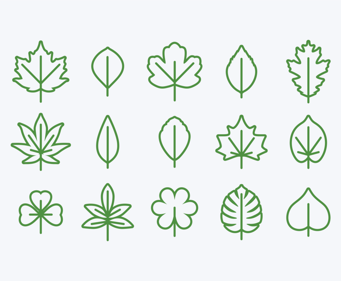 Hojas Icon Set