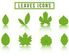 Free Collection Hojas Logo Vector