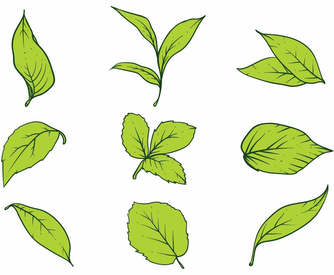 Hojas Icon Set