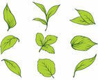 Hojas Icon Set