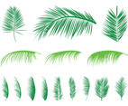 Palm Leaves Silhouettes Set