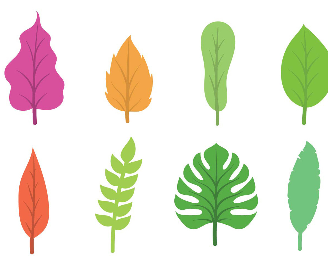 Hojas Icon Set