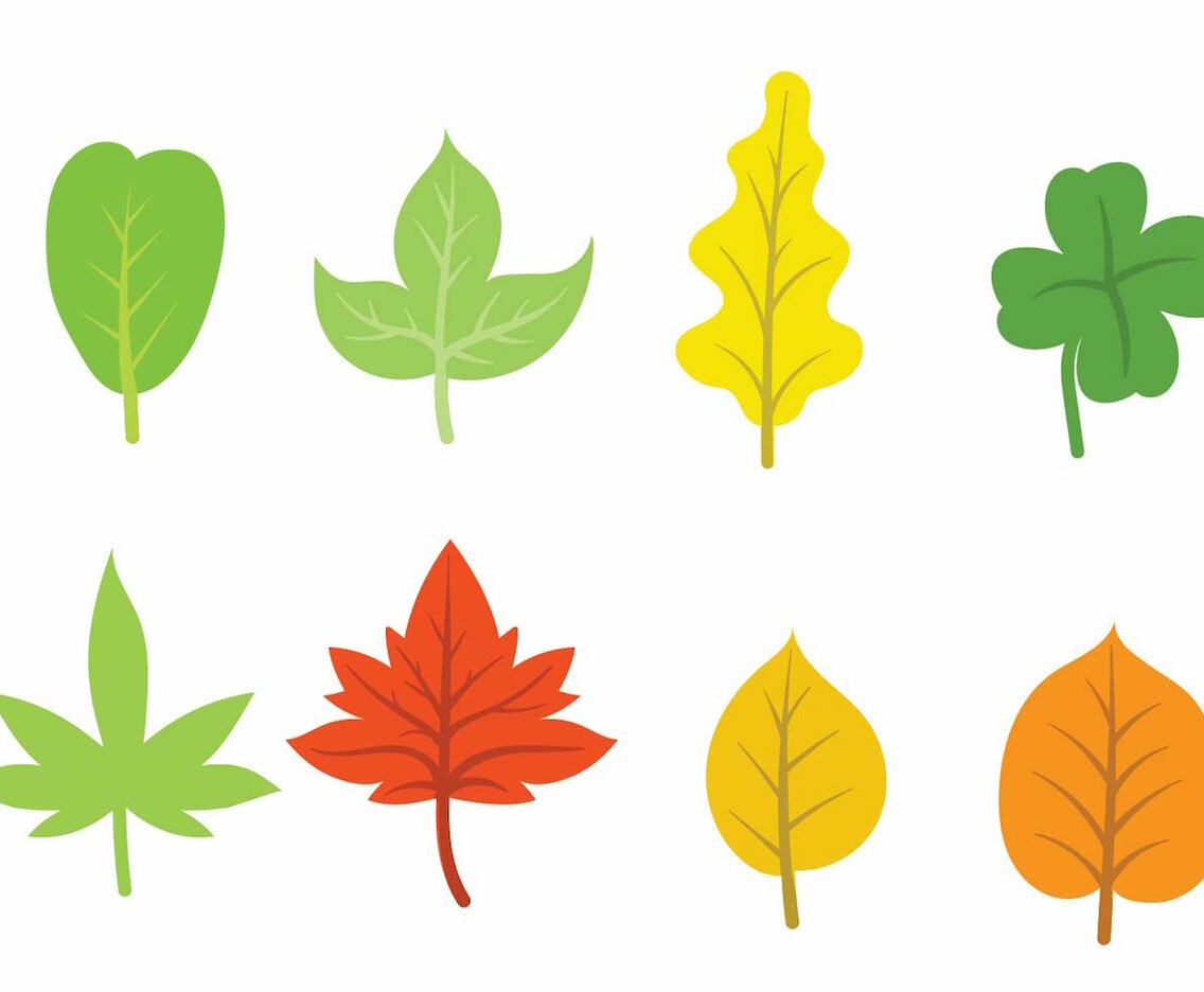 Hojas Icon Set Two