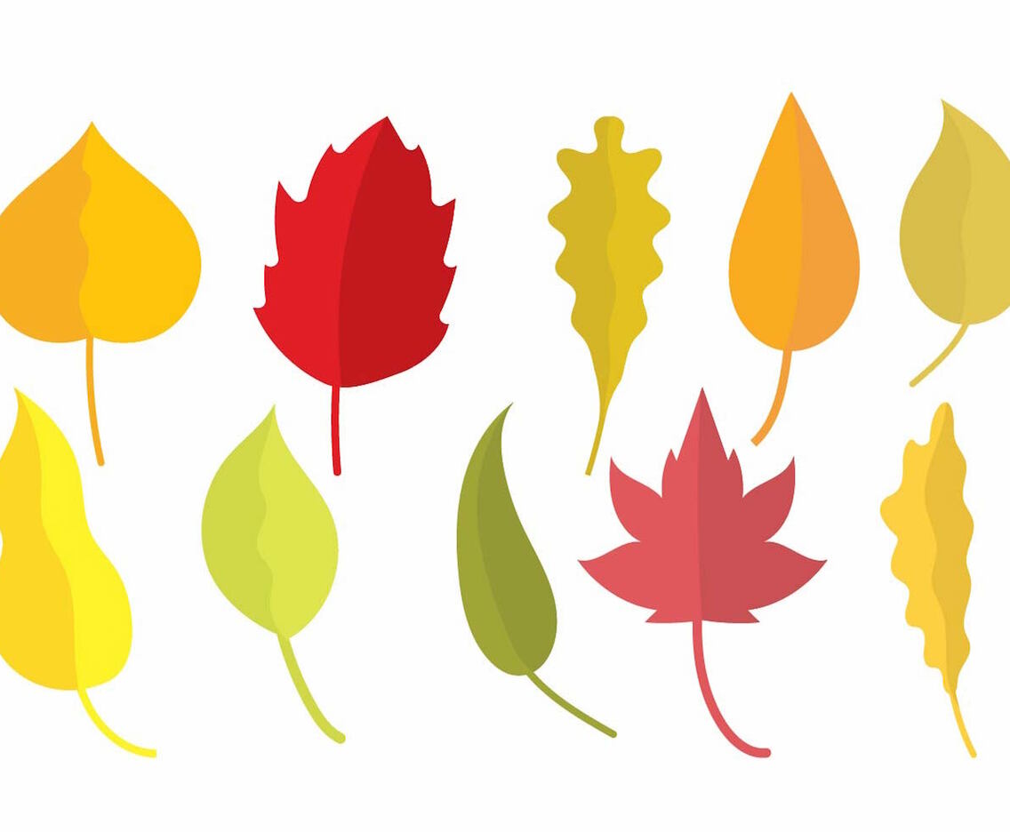 Hojas Icon Set