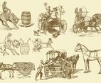 Horse Leisure And Transport