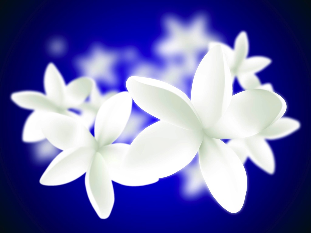 Plumeria Illustration