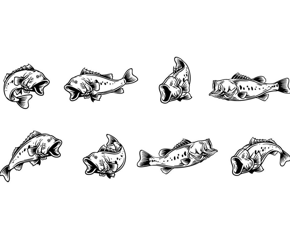 LARGEMOUTH BASS VECTOR