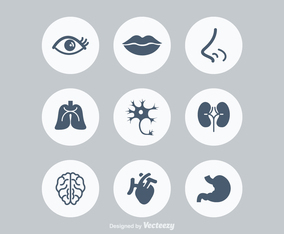 Human Vector Art & Graphics | freevector.com