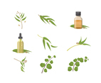 Free Eucalyptus Vectors
