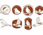 Nightingale Badges Set