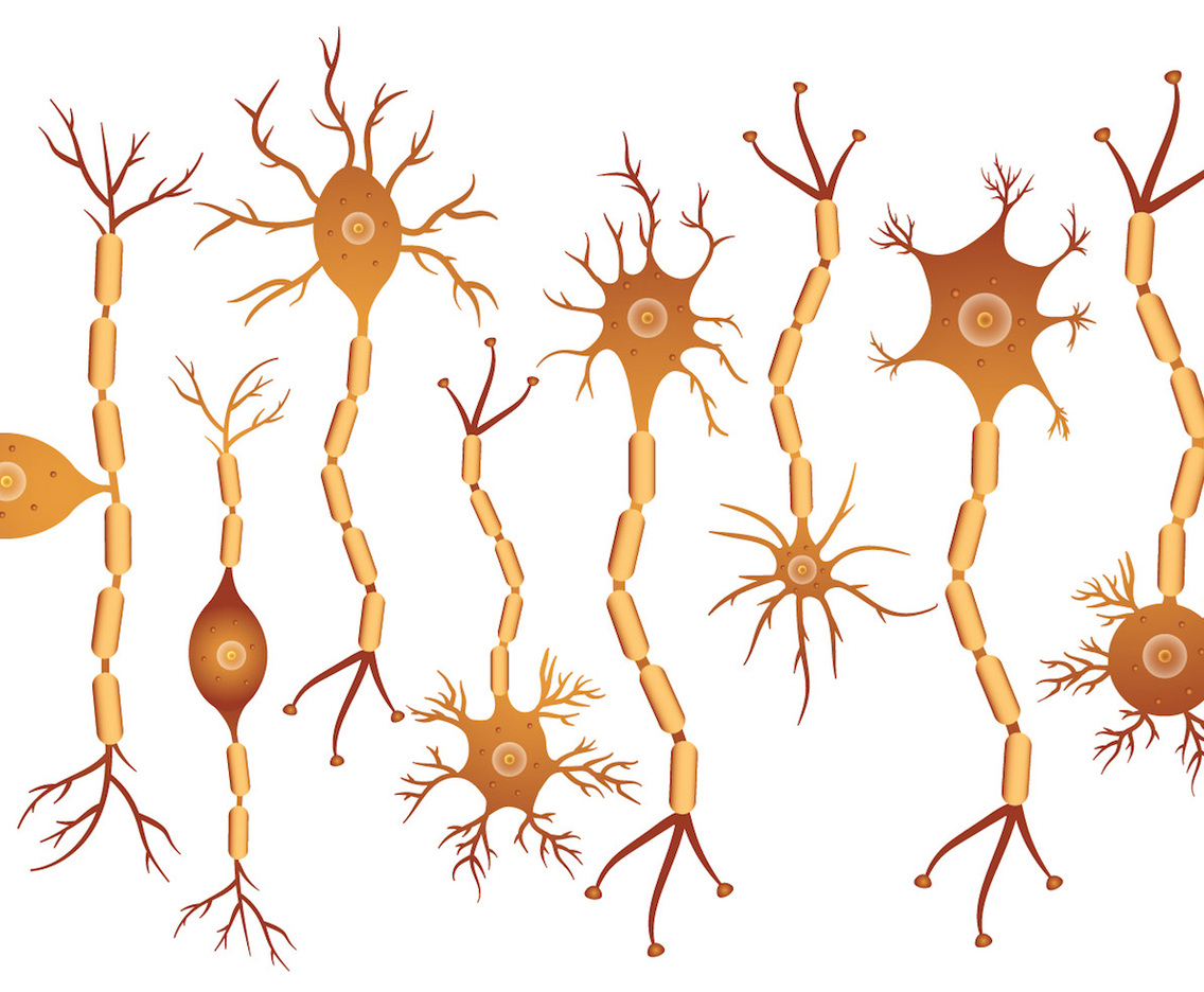 Neuron Set