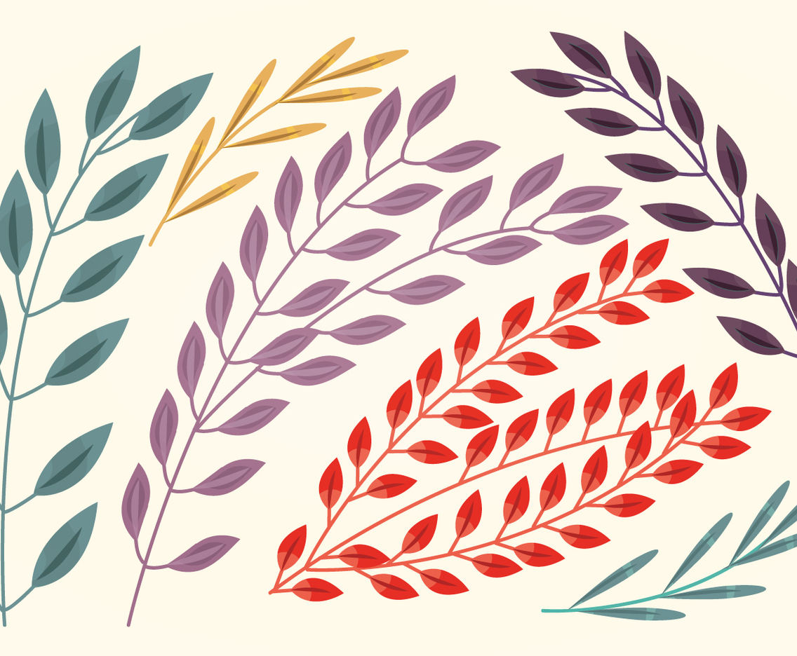Vector Branches Set