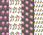 Vector Flower and Rosehip Pattern Set