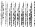 Grunge Tire Marks Vector Pack