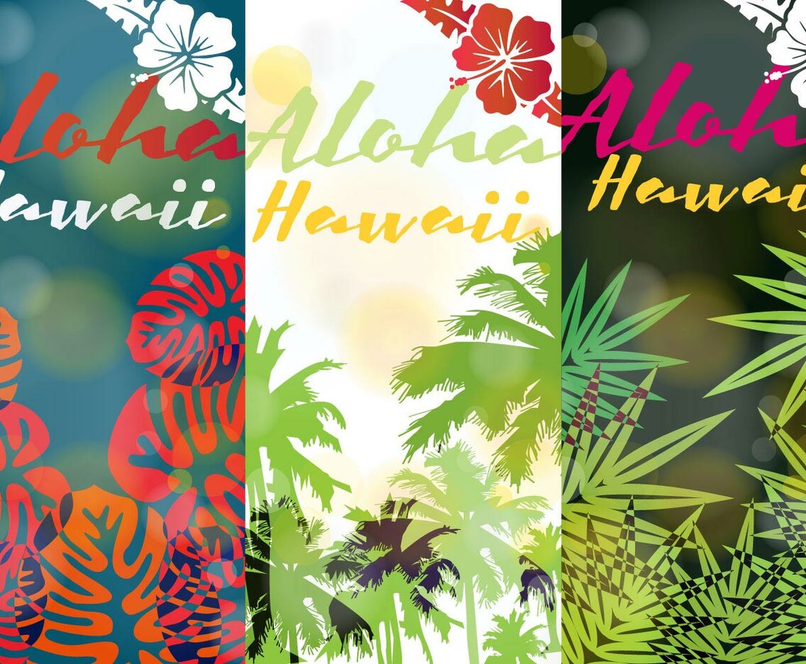 Aloha Hawaii