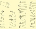 Vector Hand Positions