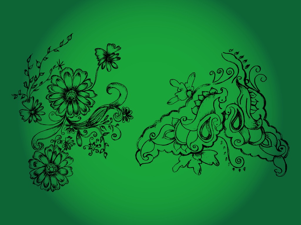 Flower Drawings
