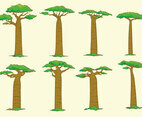 Baobab Tree