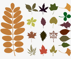 Autumn Tree Vector Bundle Vector Art & Graphics | freevector.com