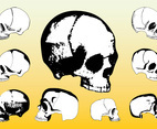 Free Skulls Vector Packs