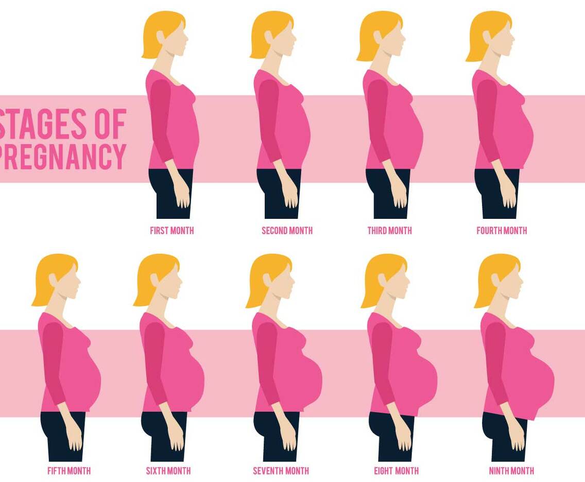 Pregnant Mom Vector
