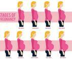 Pregnant Mom Vector