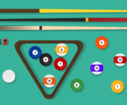 Pool Sticks
