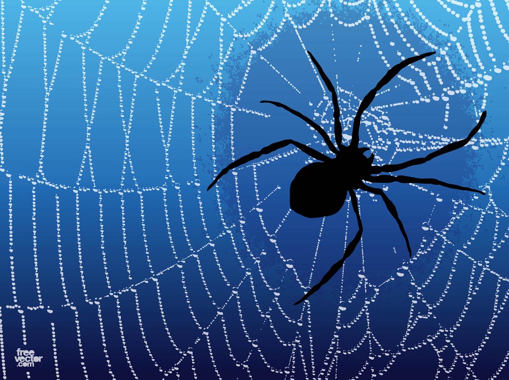 Spider Graphics