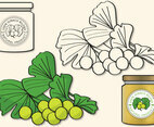 Ginko Biloba Elements