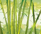 Hijau Bamboo