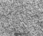 Halftone Distressed Texture