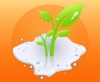 Wet Plant