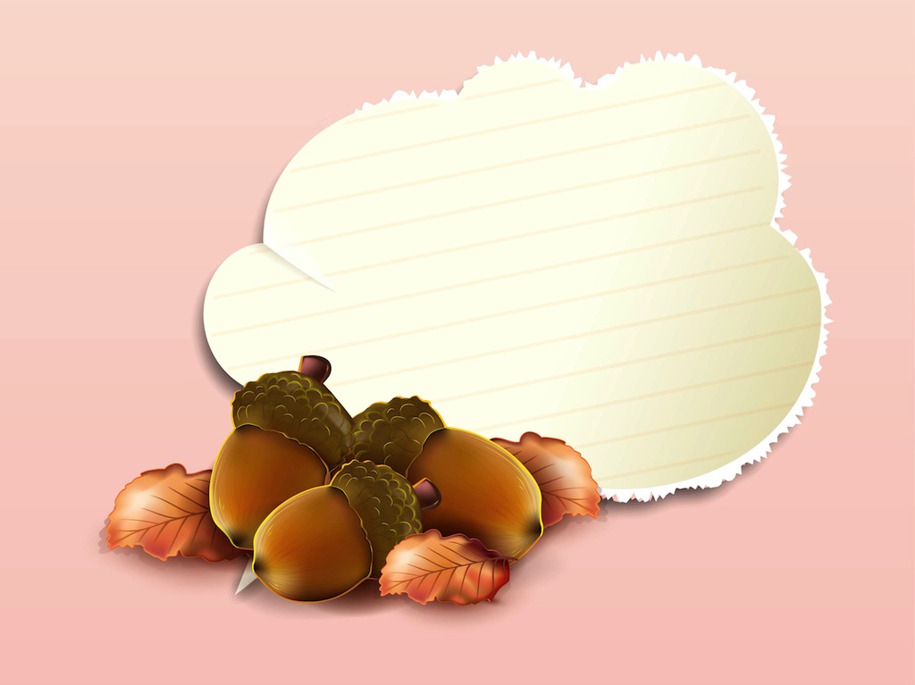Acorns Design