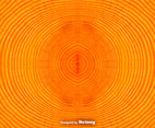 Tree Rings Background  Vector Tree Trunk Background